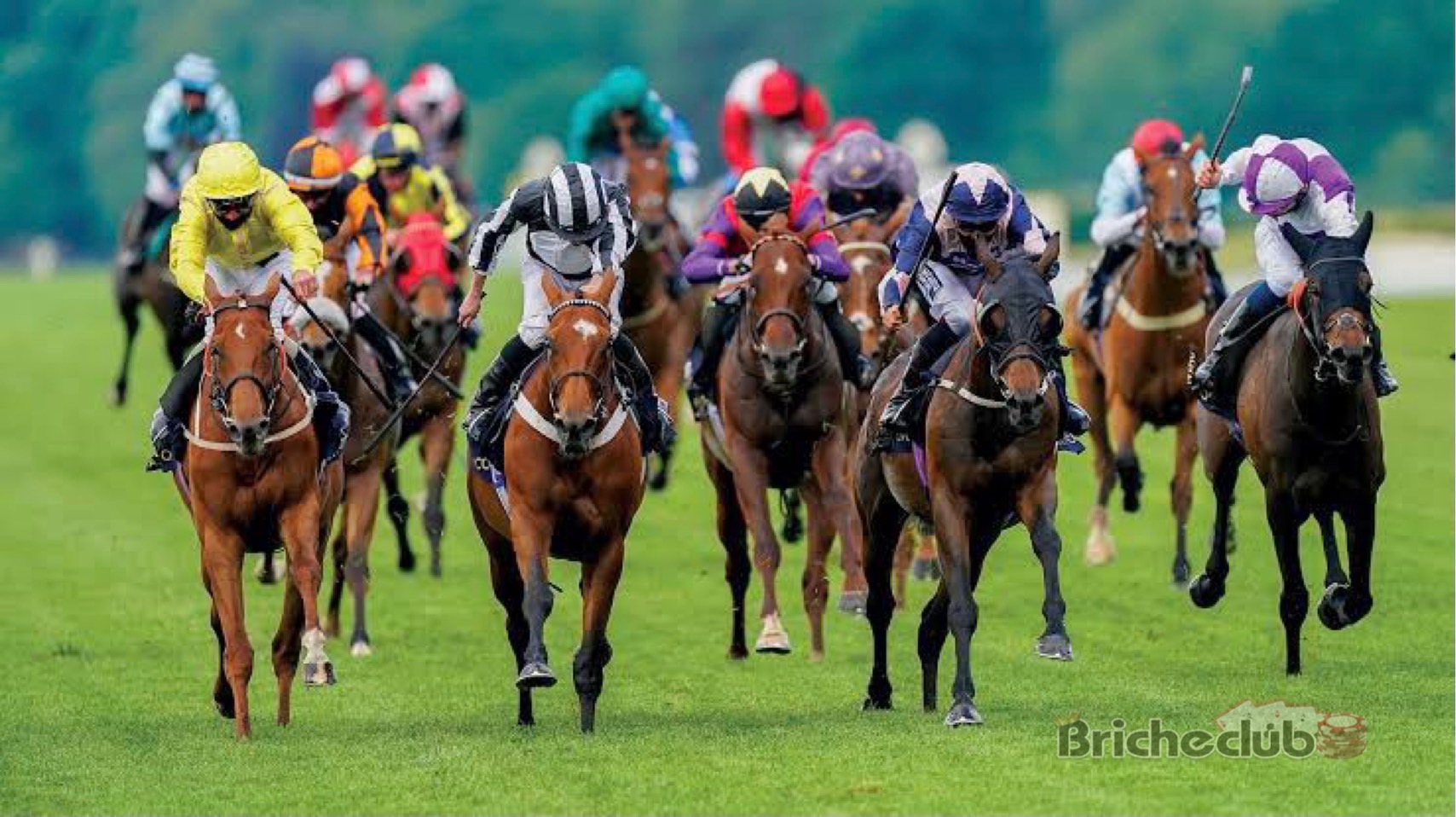 Effective Money Management is the Key to Horse Racing Profits