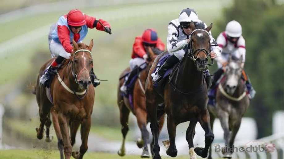 Openings and close downs for UK horse racing in 2011