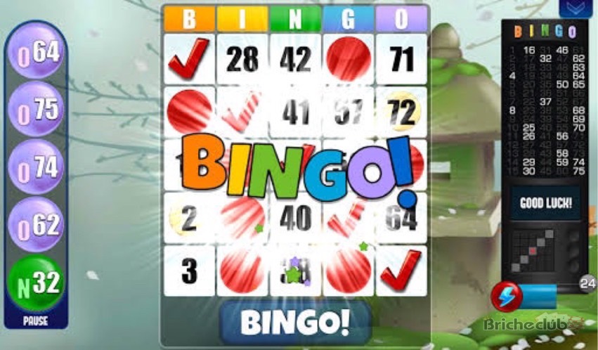 Playing Bingo Online